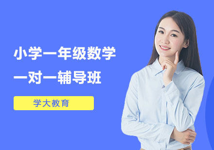 小学一年级数学一对一辅导班
