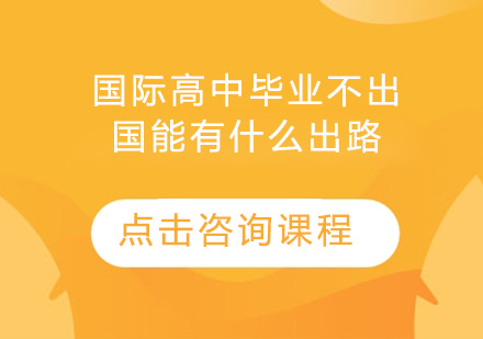 国际高中生国内升学路径深度解析