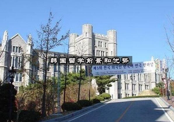韩国留学深度解析：教育优势与职业发展全景