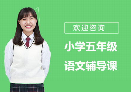 小学五年级语文辅导课