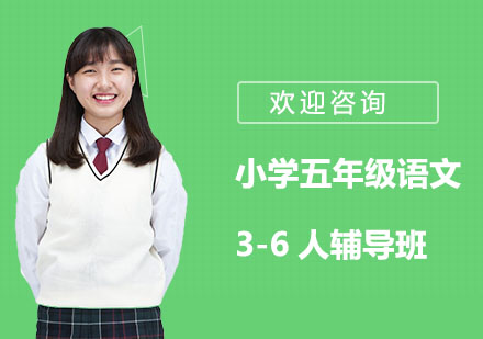 小学五年级语文3-6人辅导班