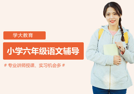 小学六年级语文辅导课