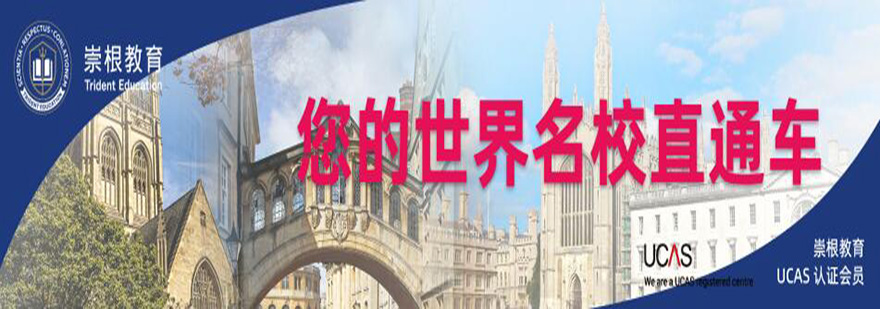 国际教育专家