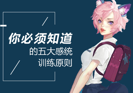 感统训练黄金法则深度解析