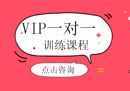 VIP一对一训练课程