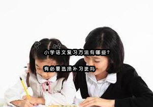 小学语文高效复习策略与补习决策指南