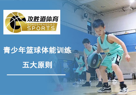 青少年篮球体能训练黄金法则解析