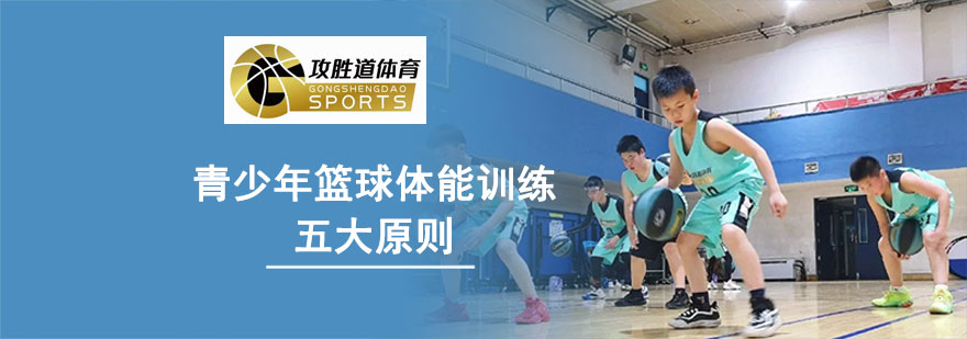 青少年篮球体能训练示意图