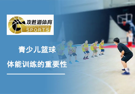 青少儿篮球体能专项培养核心价值解析