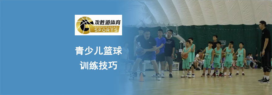专业篮球训练指导