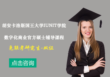 胡安卡洛斯国王大学IUNIT学院数字化商业官方硕士辅导课程