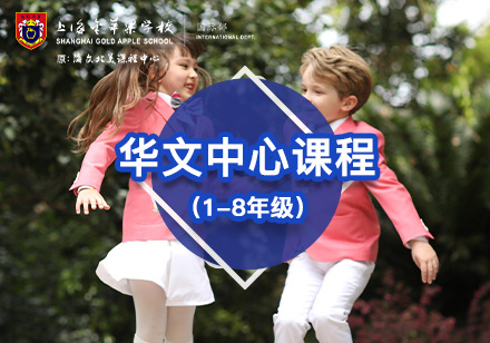 華文中心課程輔導(dǎo)