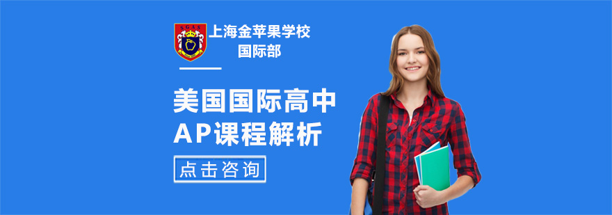 AP课程体系深度解析