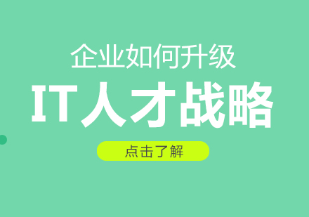 企业IT人才战略升级深度解析