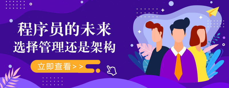 程序员职业发展路径对比
