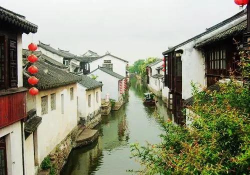 苏式月饼剖面展示
