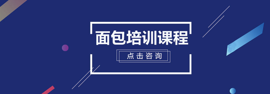 全麦面包剖面展示