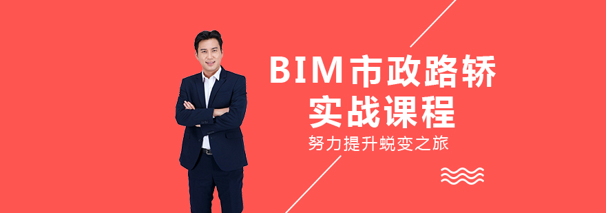 BIM市政路轿实战课程