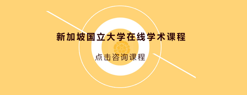 新加坡国立大学在线课程体系