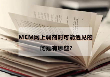 MEM网上调剂时可能遇见的问题有哪些?