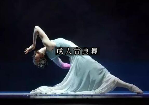 杭州音之舞成人古典舞培训