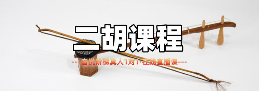 二胡线上教学实景
