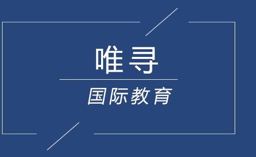 教学团队工作场景