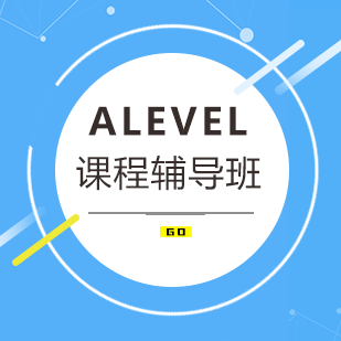 ALevel课程辅导班
