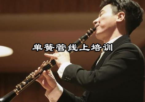 杭州单簧管线上培训