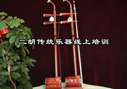 杭州二胡传统乐器线上培训