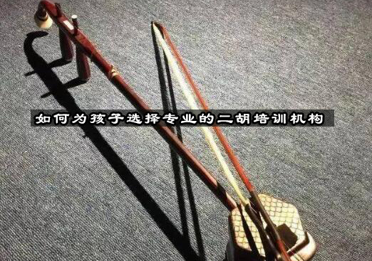 专业二胡培训选择指南与学习价值解析