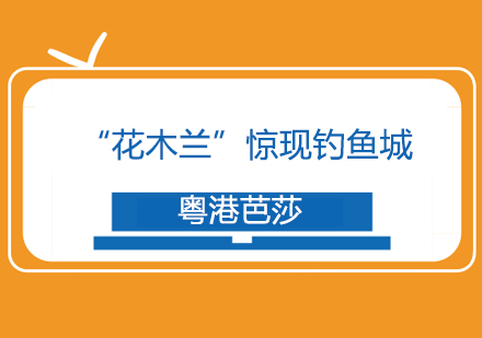 合川文旅赛事幕后纪实