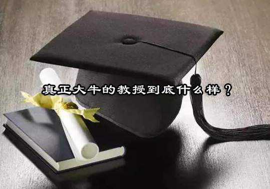 英美教职体系深度解析