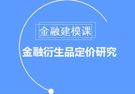 金融建模课题：金融衍生品定价研究项目【大学组】
