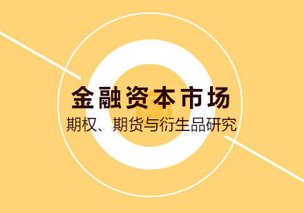 金融资本市场：期权、期货与衍生品研究