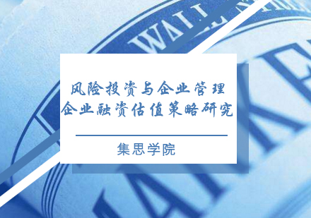 风险投资与企业管理：企业融资估值策略研究