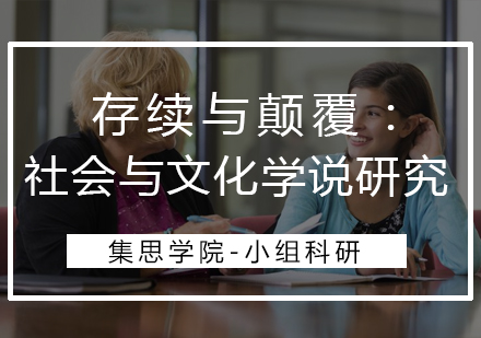 存续与颠覆：社会与文化学说研究