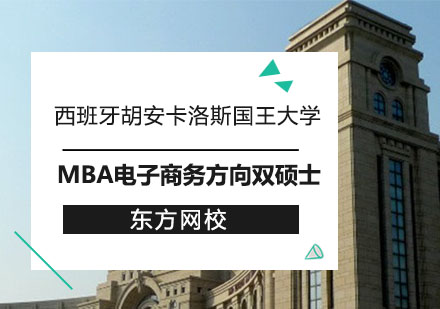 西班牙胡安卡洛斯国王大学MBA电子商务方向双硕士招生简章