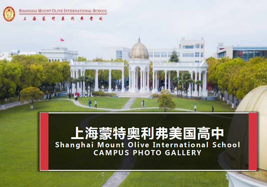 上海蒙特奥利弗学校入学申请全指南