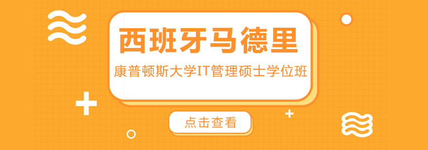 国际硕士数字化管理课程