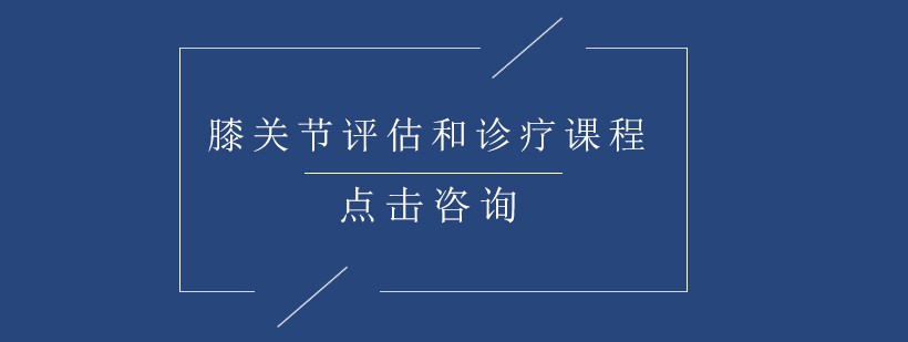 膝关节三维解剖示意图