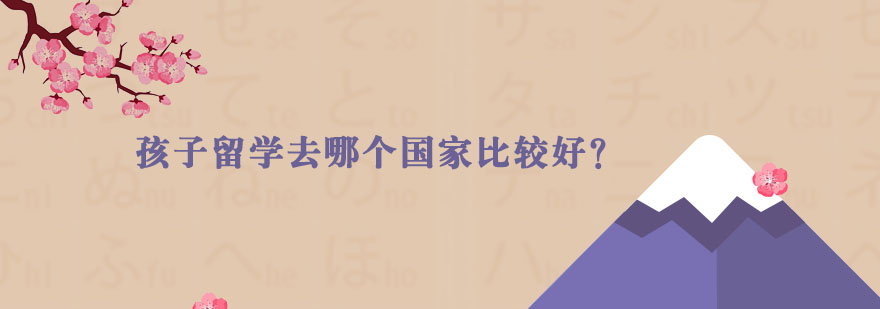 国际教育选择策略