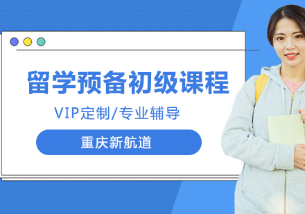 留学预备课程初级VIP定制