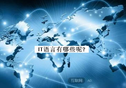 IT主流编程语言深度解析与方向