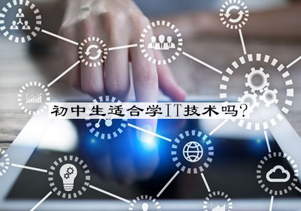初中生学IT技术可行性深度解析