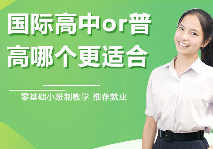 国际高中与普通高中教育路径深度解析