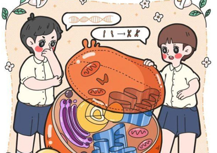 儿童感统失调的十大警示信号与科学应对策略