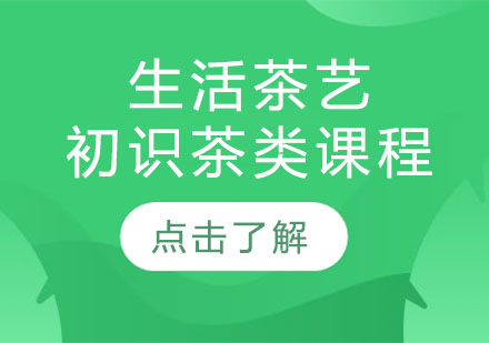 茶艺入门精品课程全方位解析