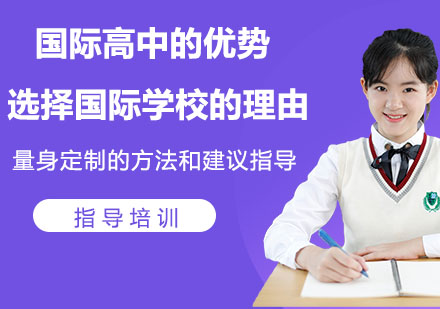 国际教育升学路径深度解析