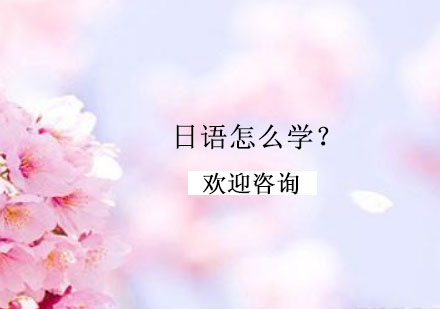 日语高效学习路径全解析